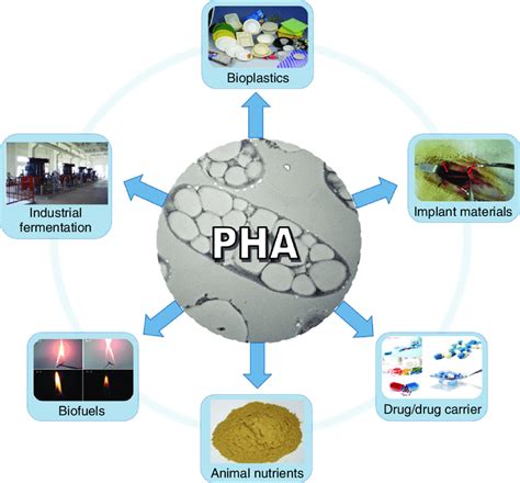 PHA Development .